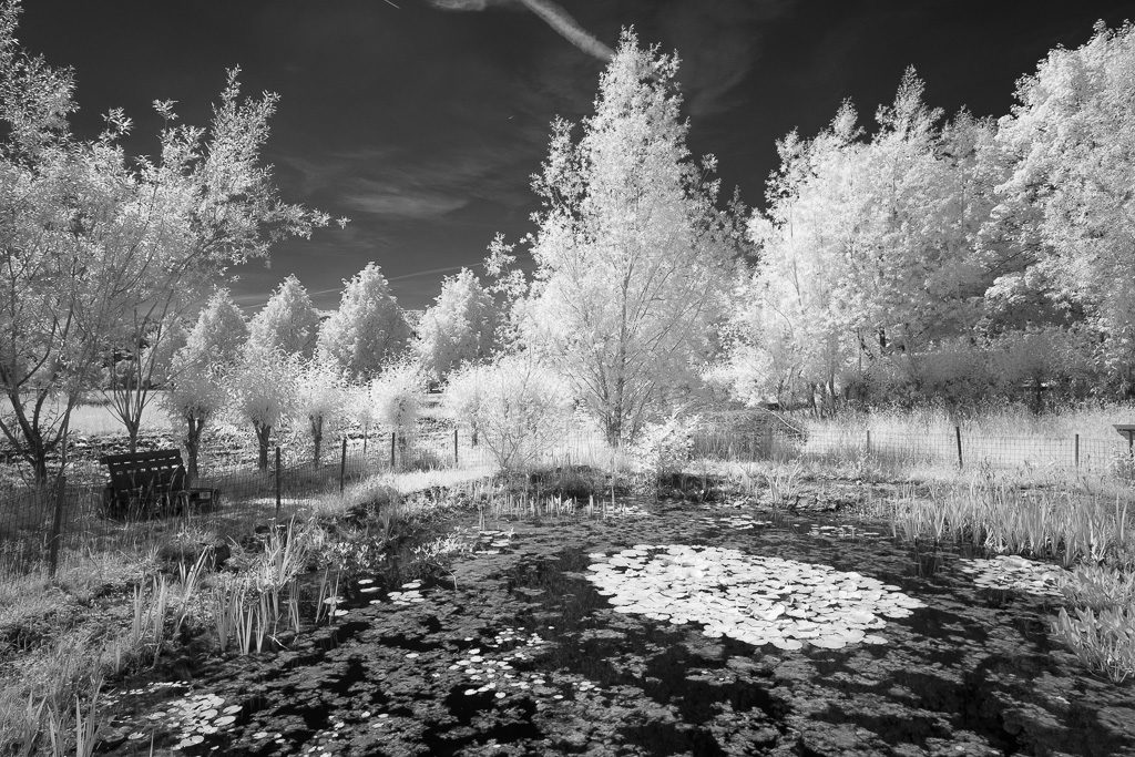 Teich mit Bäumen im Wood-Effekt - Infrarotfoto